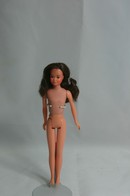 012 - Skipper doll